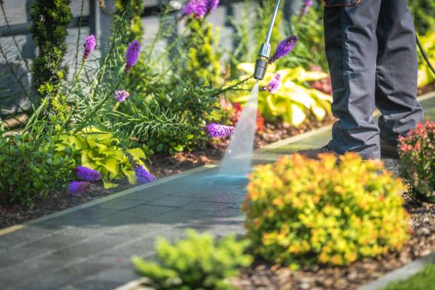 Best Driveway Pressure Washing  in Salem, VA